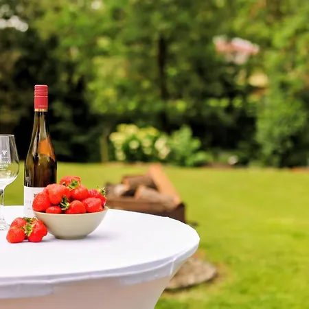 Glamping L Tiny , 2ferienhaeuser Mit Stillvolles Design Und Hohem Komfort Sauna Hot Tub * Platten